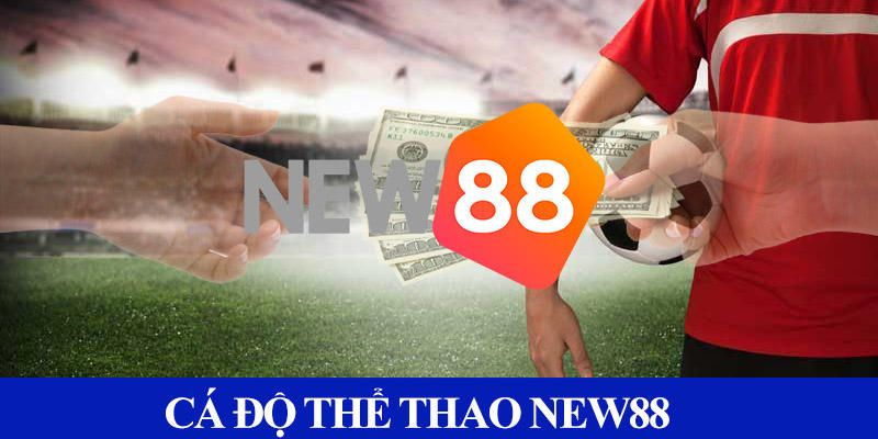 Cá Cược Thể Thao New88 - Bí Quyết Chiến Thắng Chắc Chắn Bạn Chưa Ngờ Đến